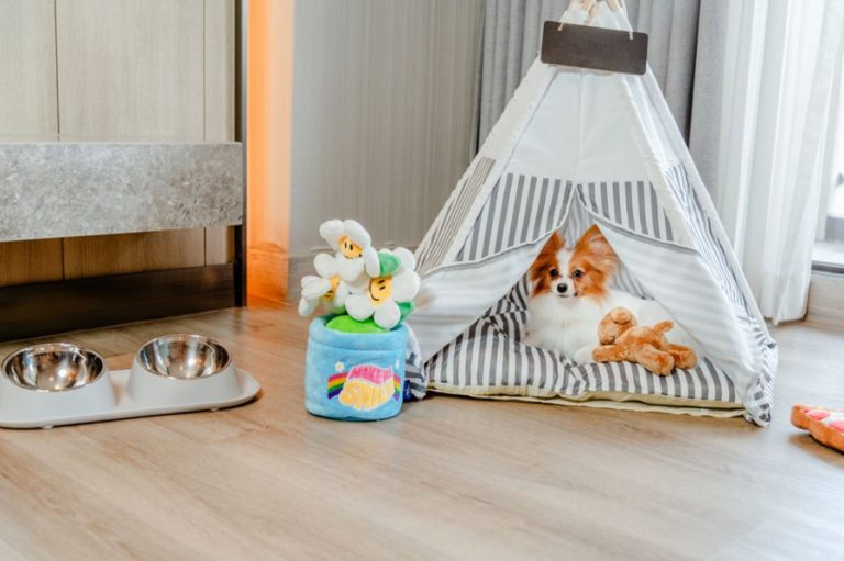พาน้องสี่ขาออกเดินทาง! เปิดลายแทงโรงแรมและรีสอร์ต Pet-Friendly ทั่วไทย กับแมริออท บอนวอย